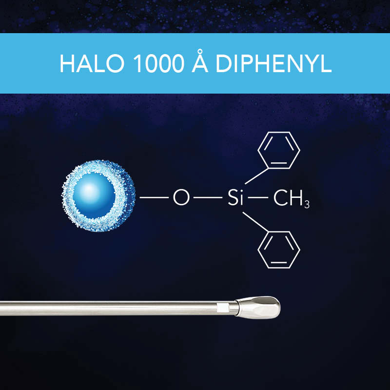 HALO 1000 Å Diphenyl Column