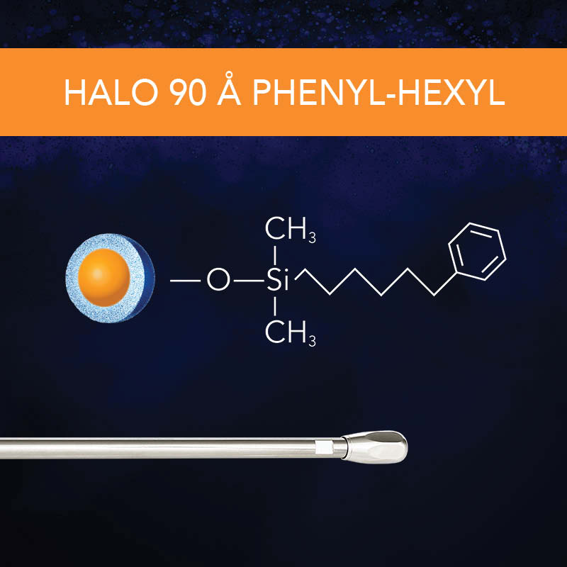 HALO 90 Å Phenyl-Hexyl