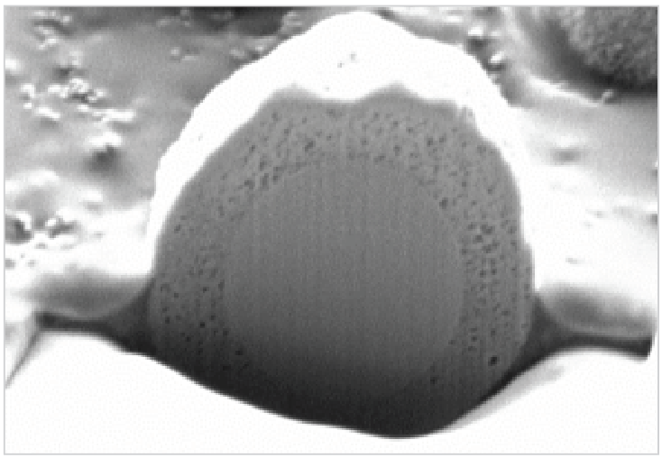 FIB – SEM image of first commercial HALO® particle with 2.7 µm total size consisting of a 1.7 µm solid silica core and a 0.5 µm shell.
